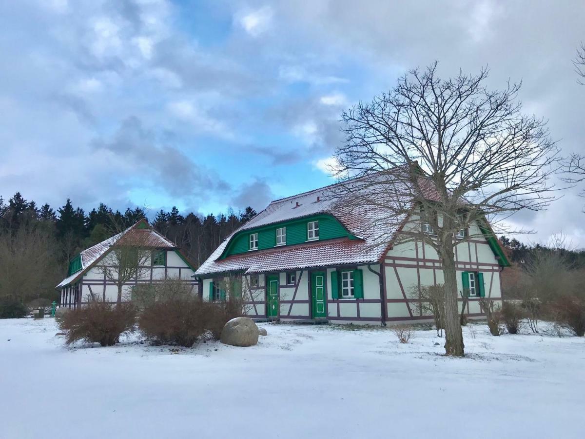 Strandnahe Ferienwohnung Rügen Dranske Exterior foto
