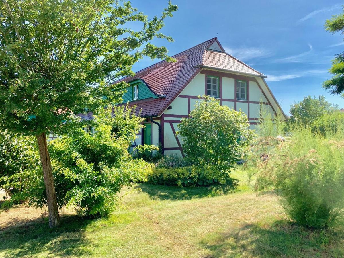Strandnahe Ferienwohnung Rügen Dranske Exterior foto